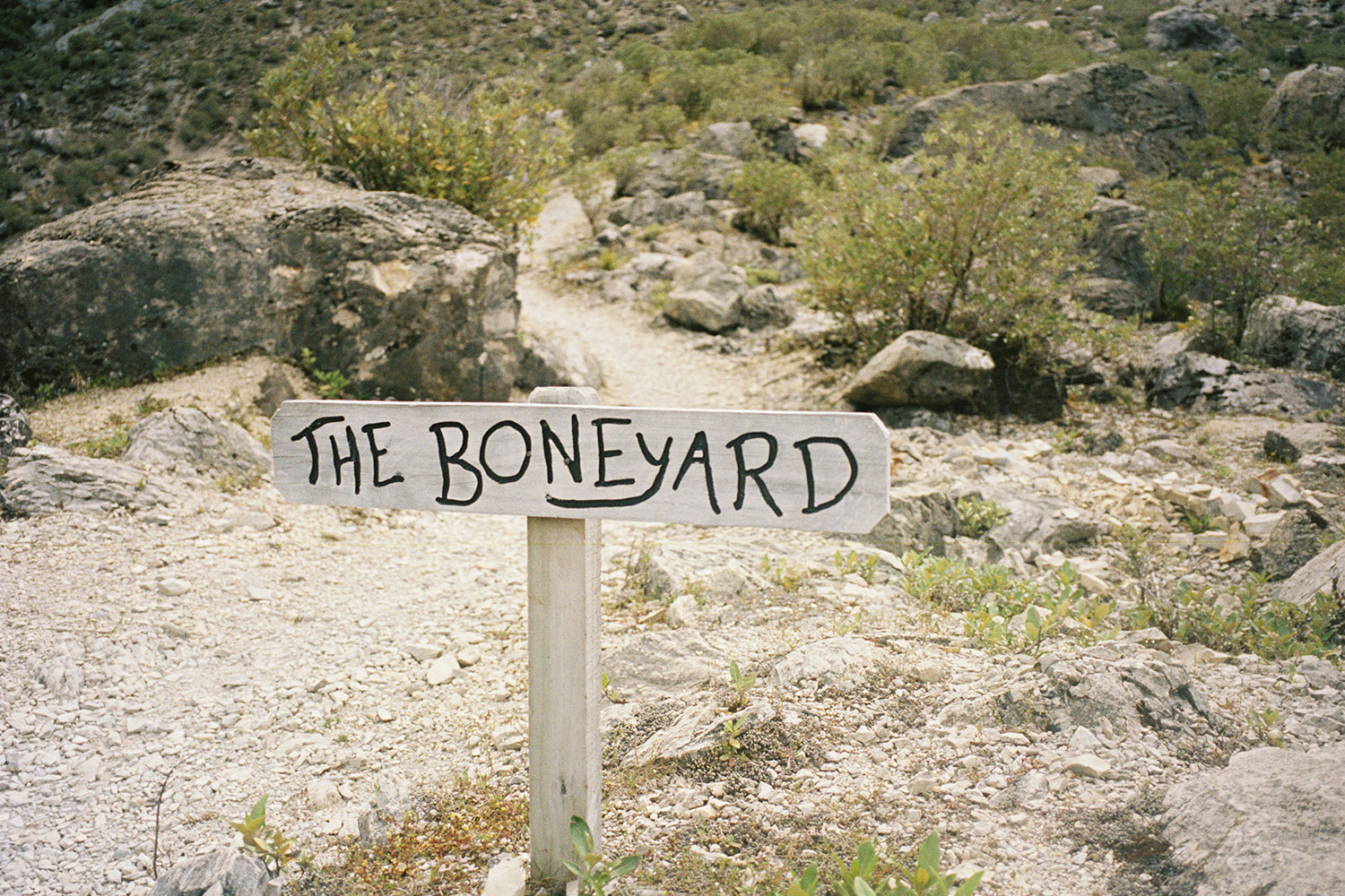 Another sign, which reads: "THE BONEYARD."