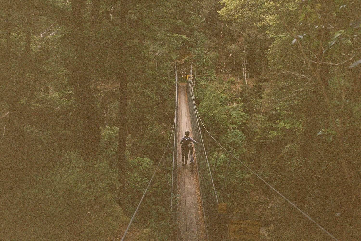 A cyclist walks carefully across a bridge in the forest.