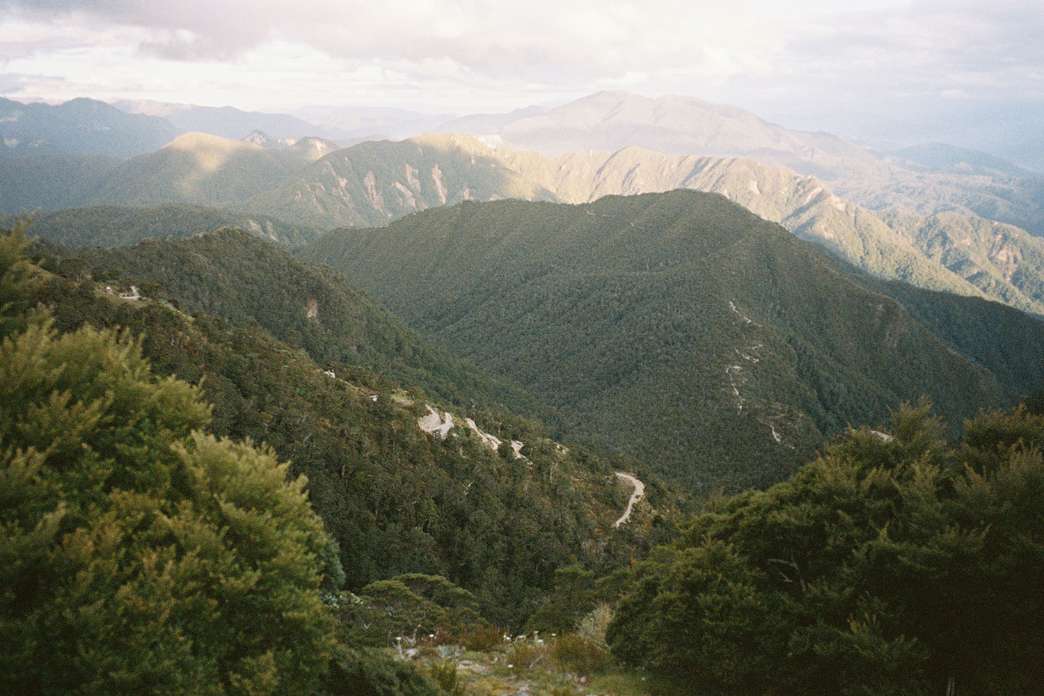 A view of the Upper Buller Gorge.