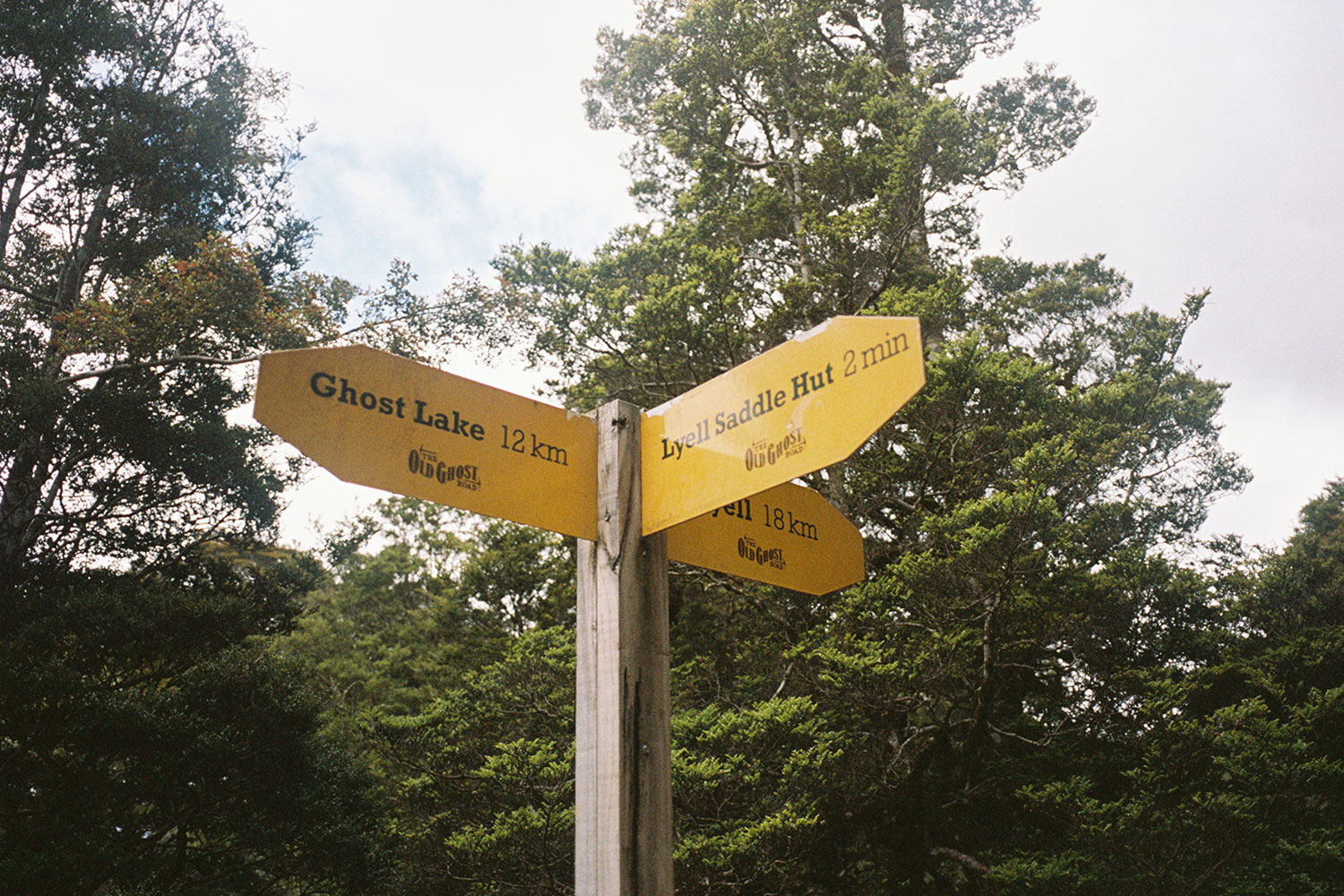 A view of yellow signage along the route.