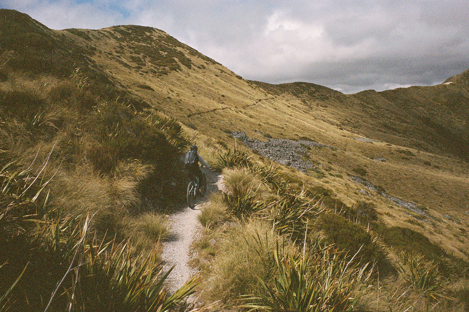 A cyclist climbs a hill in the middle of a lush valley.