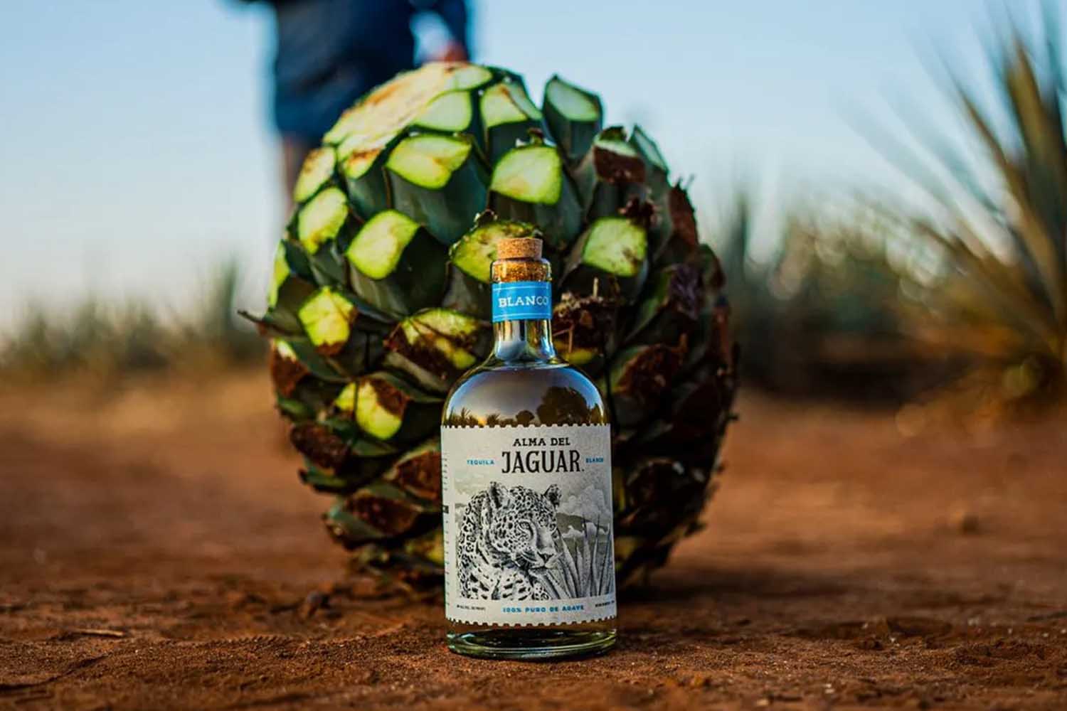 Alma del Jaguar Should Be One of Your Favorite Tequilas