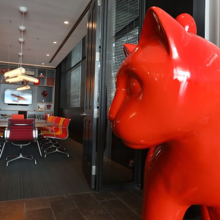 Giant cat in a CitizenM room