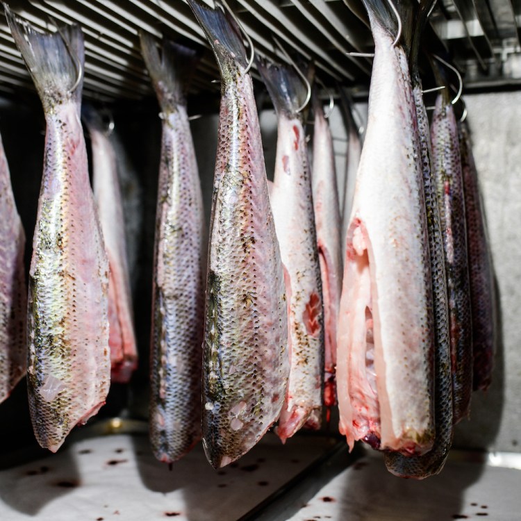 The dry-aged fish locker at The Dabney