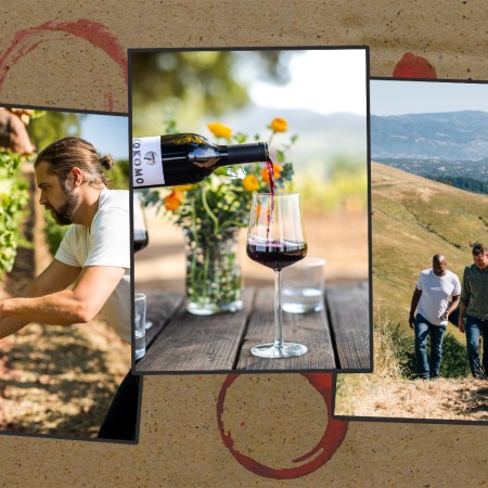 A collage of winemakers in Dry Creek Valley near Healdsburg in California, as well as the wine they make