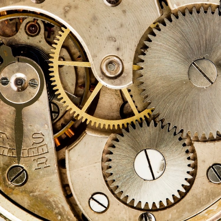 Cogs and gears in a watch movement. We take a look at the most common movements available in watches today.