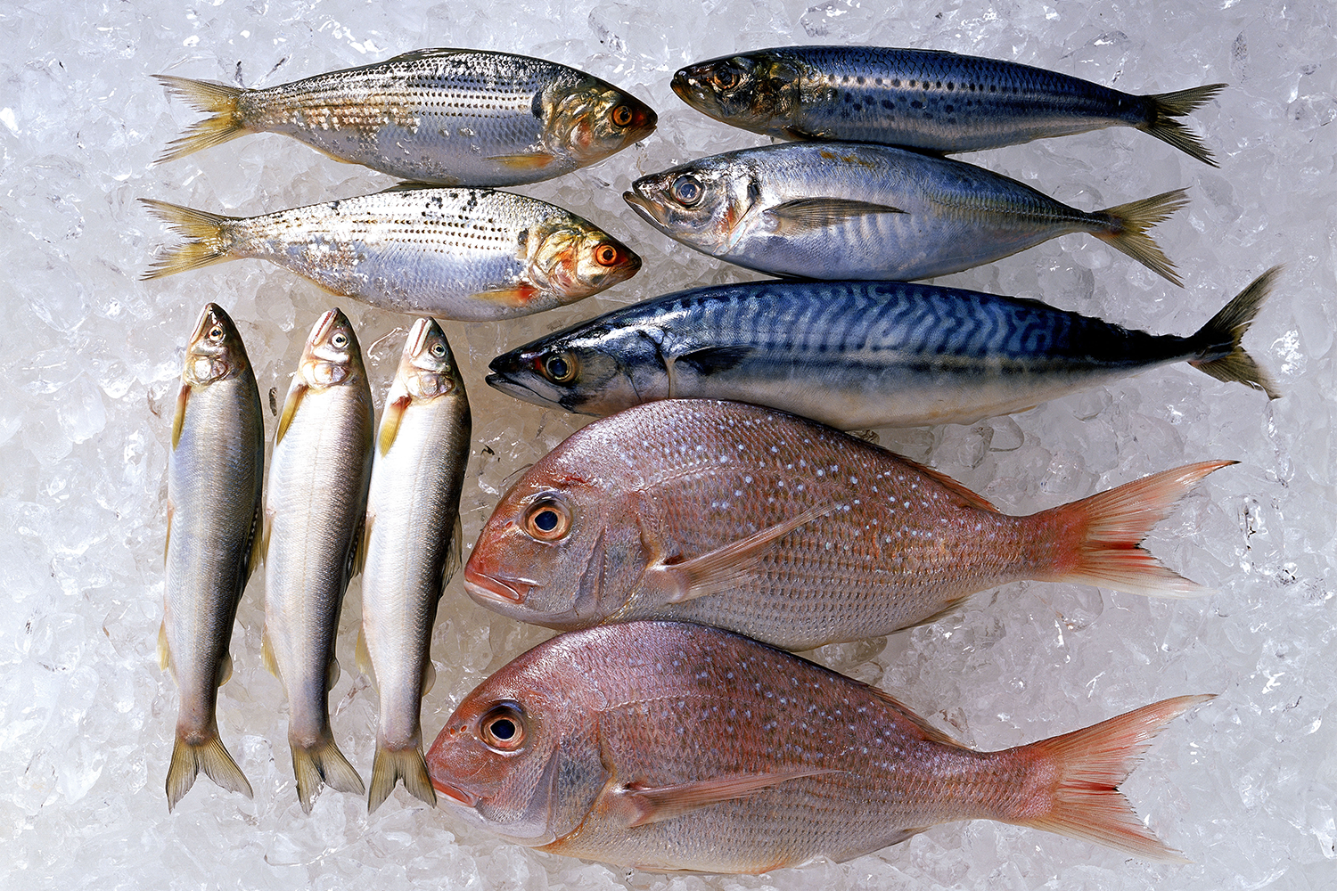 Our Favorite Frozen Fish Is on Sale